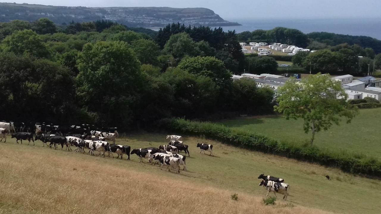 Appartamento Maes Y Mor Llanarth  Esterno foto