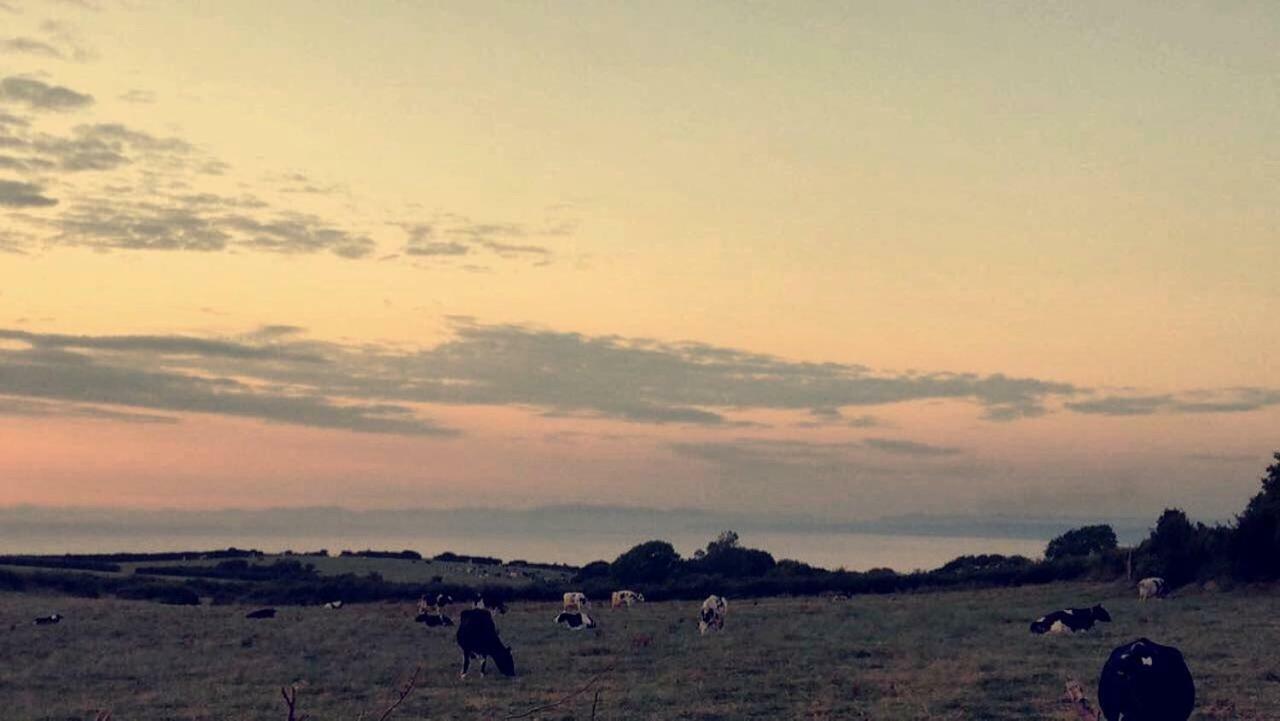 Appartamento Maes Y Mor Llanarth  Esterno foto