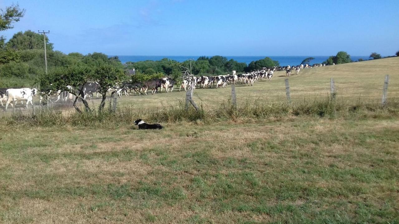 Appartamento Maes Y Mor Llanarth  Esterno foto